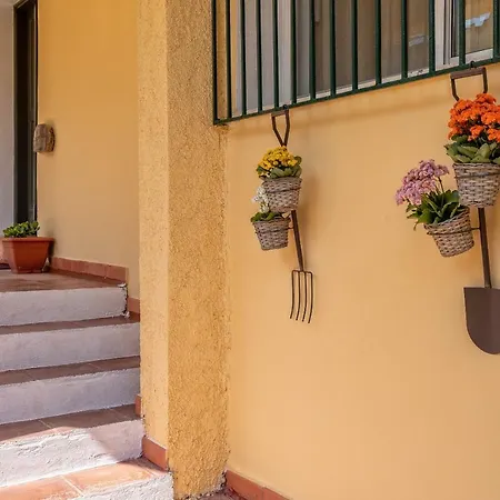 E Mare & Tsilivi (Zakynthos)