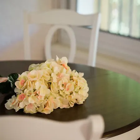 Villa E Mare & Tsilivi (Zakynthos)